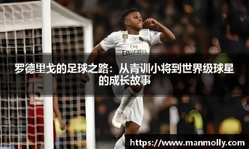 万博max官网
