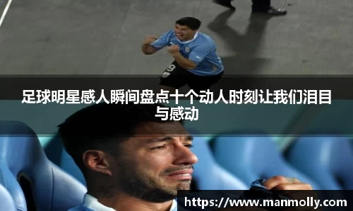 万博max体育官网入口